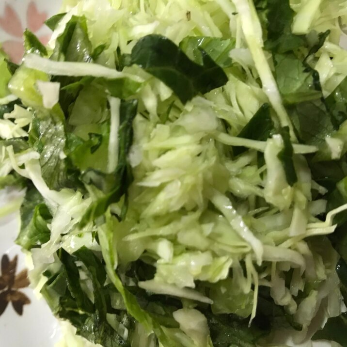 ロメインレタスとキャベツの生野菜サラダ(o^^o)